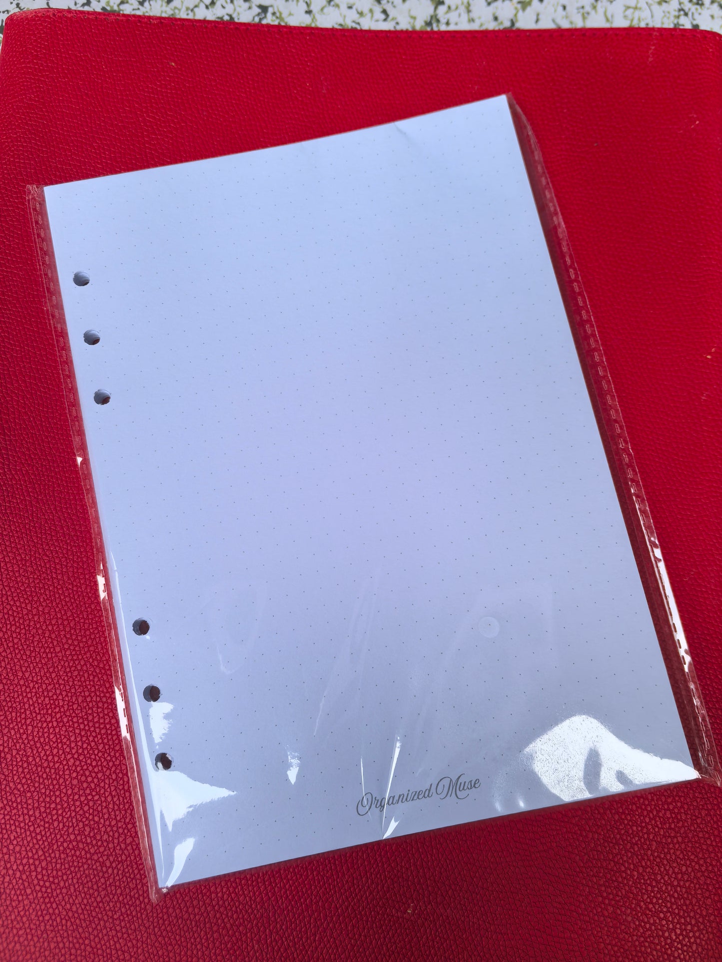 Dotted Paper Inserts